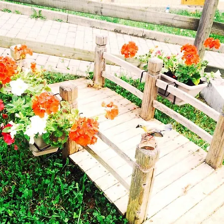 Bed and breakfast Torre Del Cioit